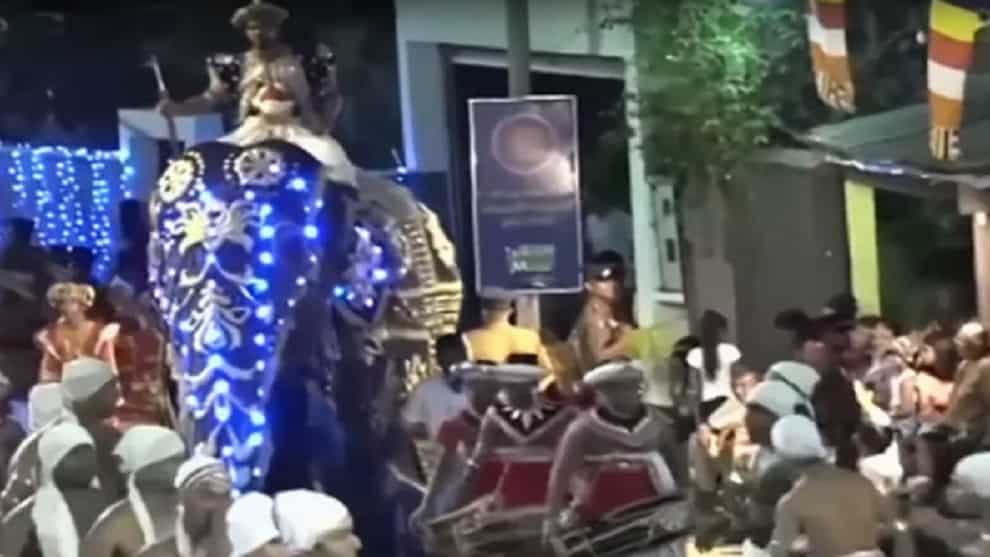 Elefante se salió de control y embistió a varias personas durante un desfile