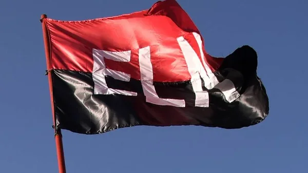 Cese al fuego del ELN: ¿en qué regiones tiene mayor injerencia el grupo armado? Cese al fuego del ELN: ¿en qué regiones tiene mayor injerencia el grupo armado?