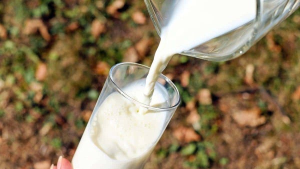 Estas son las empresas investigadas por adulterar leche con lactosuero