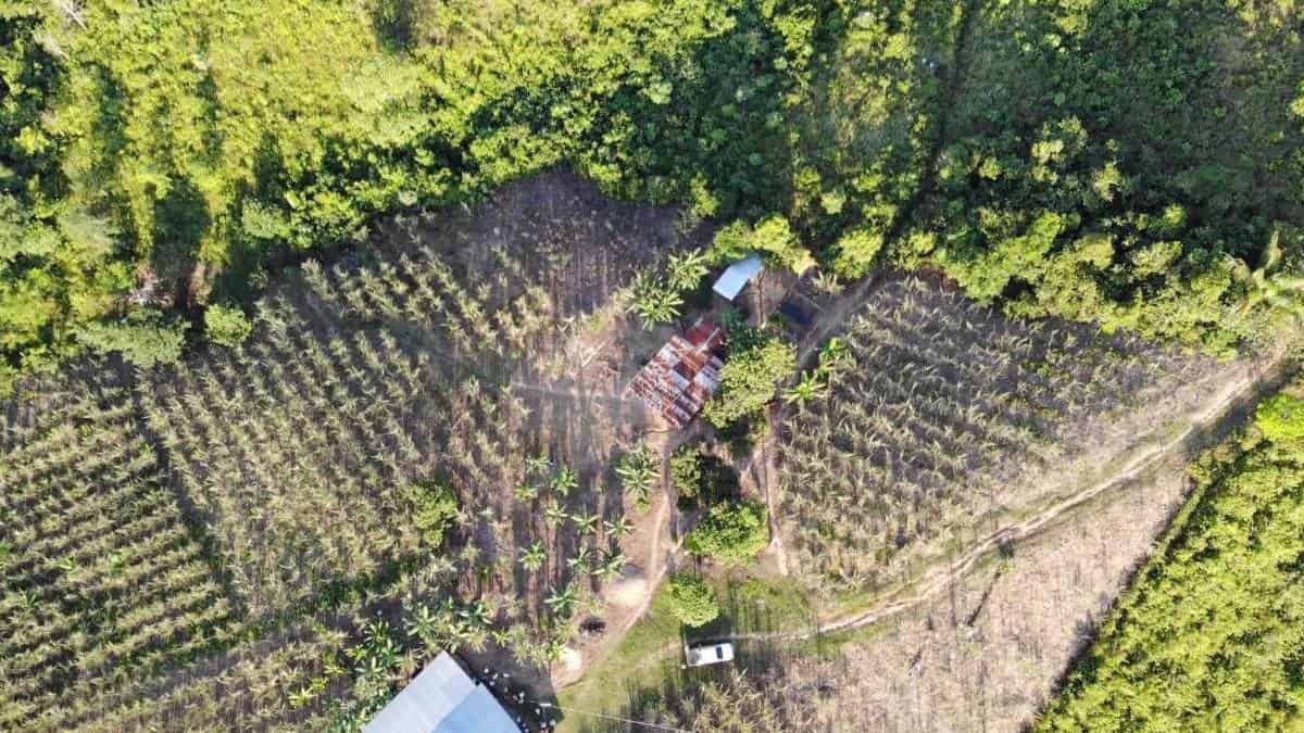 Así se desarrollará la estrategia antidrogas entre EE.UU. y Colombia