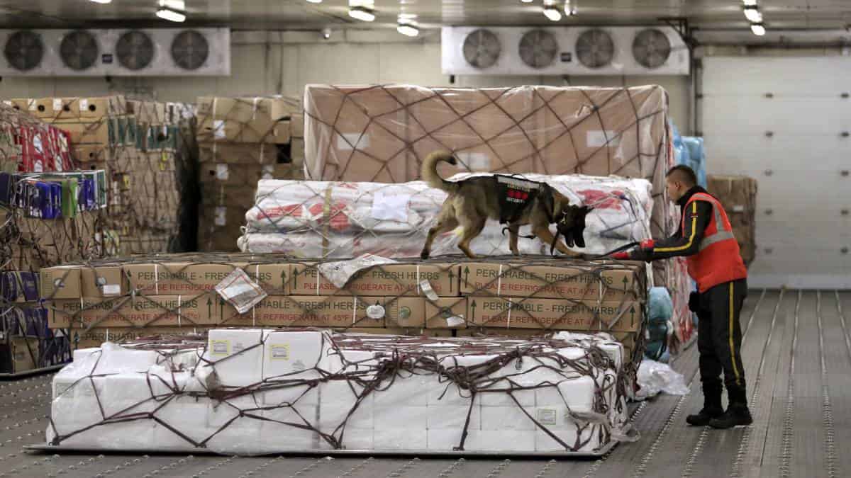 Valor de las exportaciones aumentó 22,5% en 2021