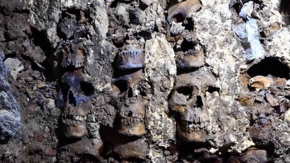 Encuentran secciones de una torre azteca formada de cráneos humanos en México