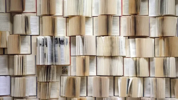 Estos son los libros más vendidos de la Filbo 2023