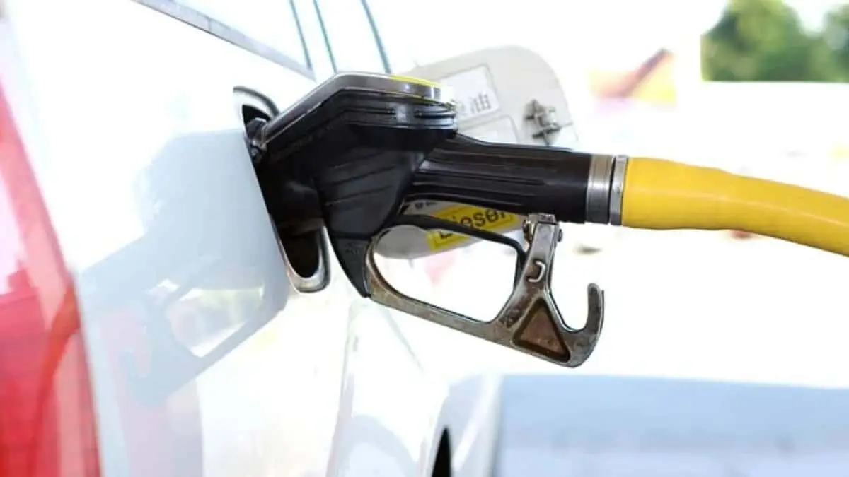 Foto: Pixabay Precio de la gasolina aumenta $200 pesos