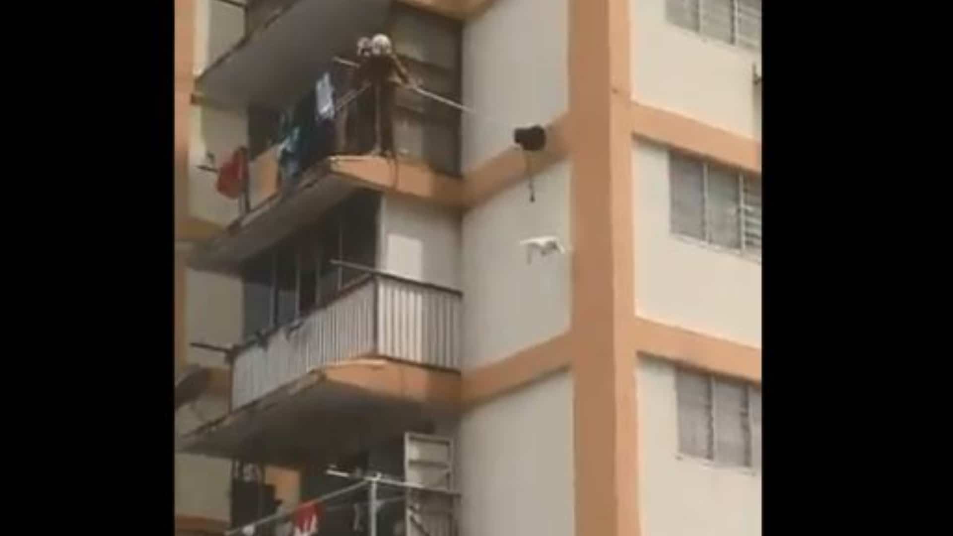 Rescate gato décimo piso edificio: piso 10 gato volando