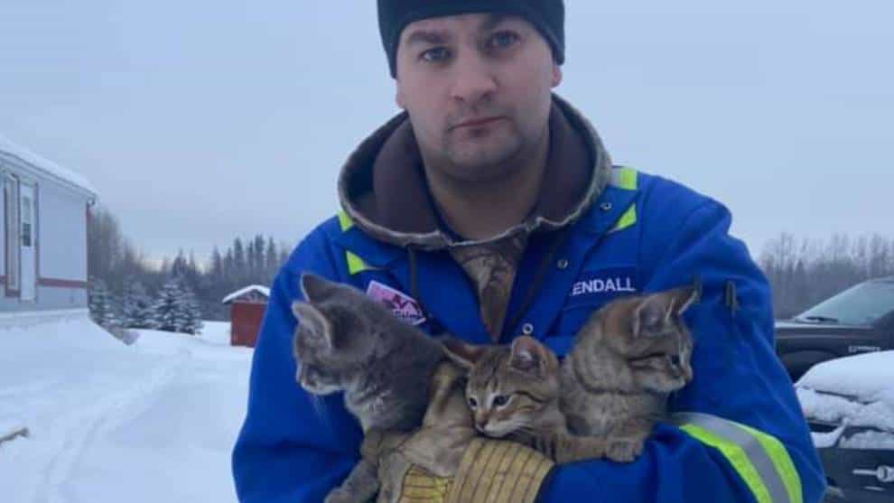 VIDEO: el café que salvó tres vidas en medio de la nieve en Canadá