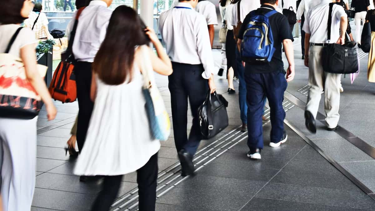 ¿Qué son los Bonos de Impacto Social?