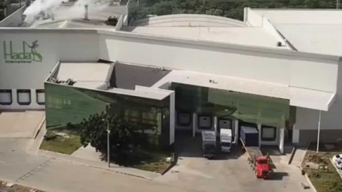 Grupo Hada, primera empresa que trabajará cuatro días a la semana