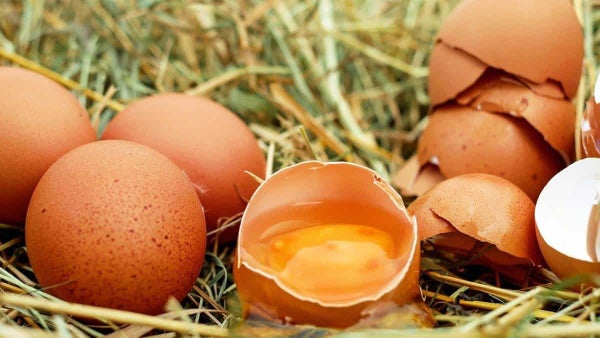 ¿Cuántos huevos se puede comer en un día? Expertos responden