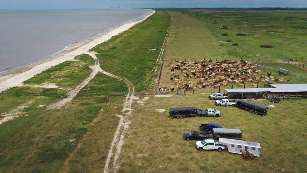 Delta se convirtió en huracán y tendrá mayor intensidad en su paso por México