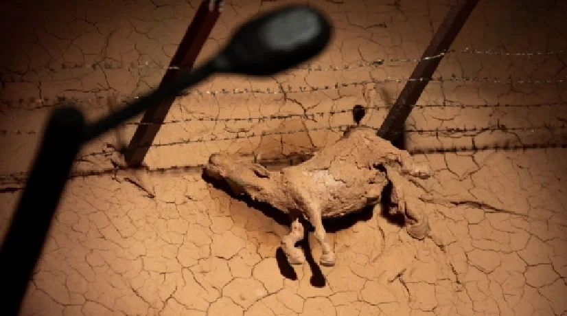 Actividades gratuitas culturales en Bogotá: prográmese para este miércoles 29 de noviembre