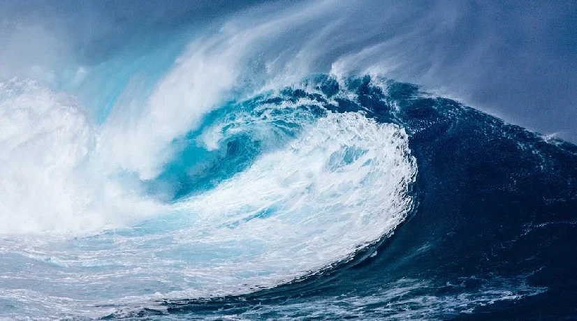 El más reciente e impresionante hallazgo en el Océano Atlántico