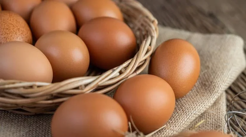 Importancia del huevo en la salud
