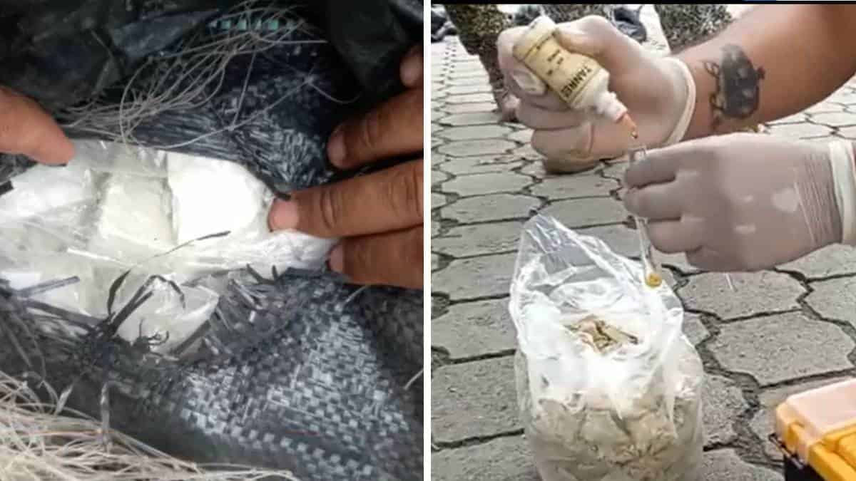 Incautan droga perteneciente a disidencias de las Farc en Nariño