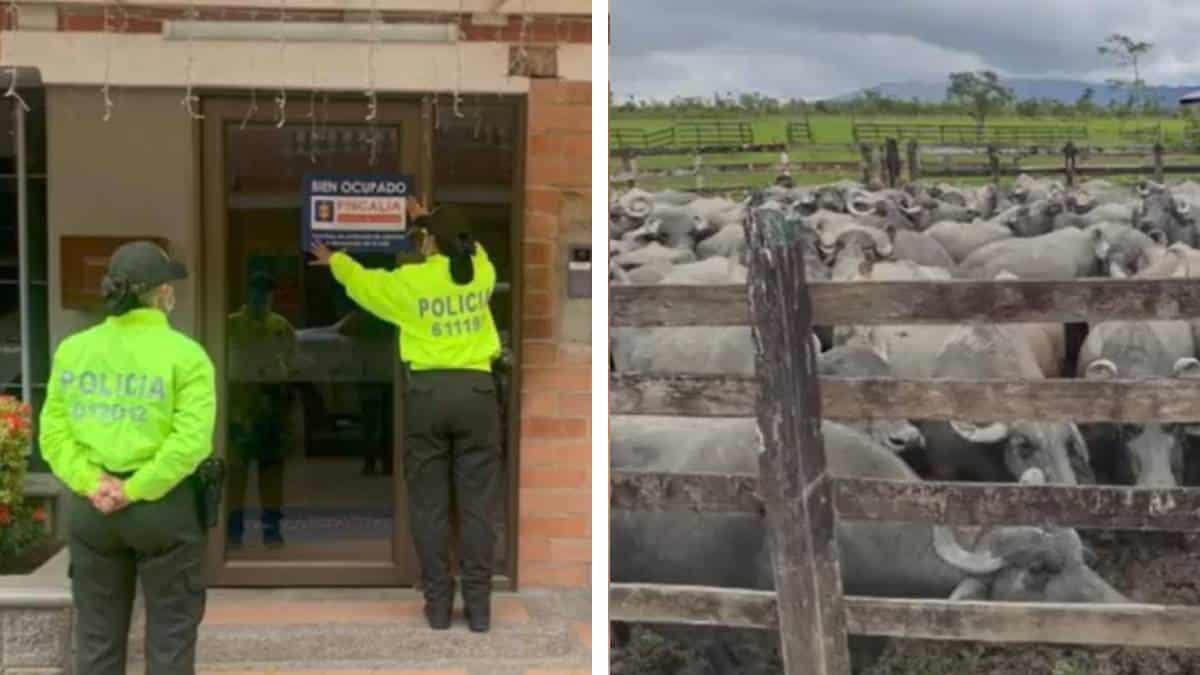 Fiscalía incautó bienes que pertenecían a alias Otoniel y Nicolás