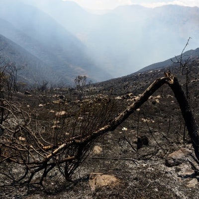 Extinguen incendio forestal cercano a zona arqueológica de Cusco en ...