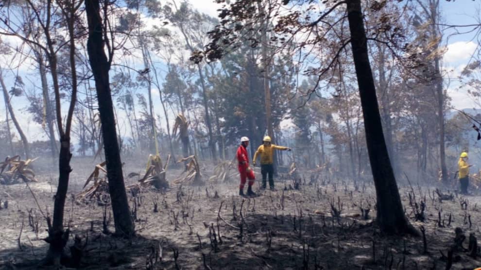 Los incendios amenazan a los habitantes del lugar. Foto: Bomberos de Pasto