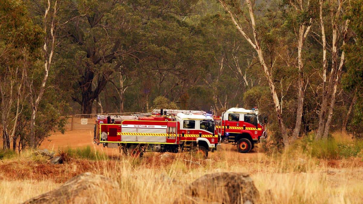 Bomberos lograron contener los incendios en ciudad Australiana