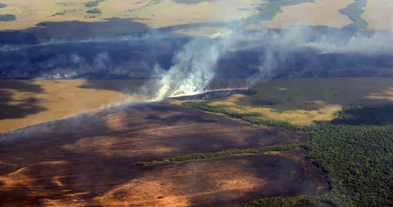 Alerta en Vichada por nuevos incendios en Parque Nacional El Tuparro