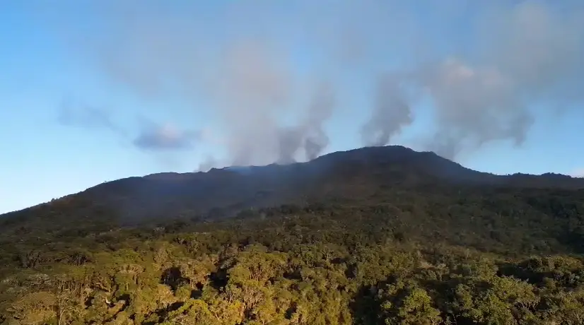 Incendio forestal en Sesquilé, Machetá y Chocontá: Bomberos continúan apagando las llamas