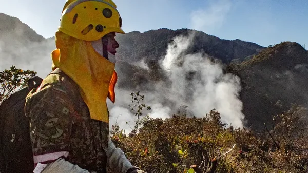 No hacer fogatas, quemas, ni fumar: las recomendaciones de los bomberos para evitar incendios