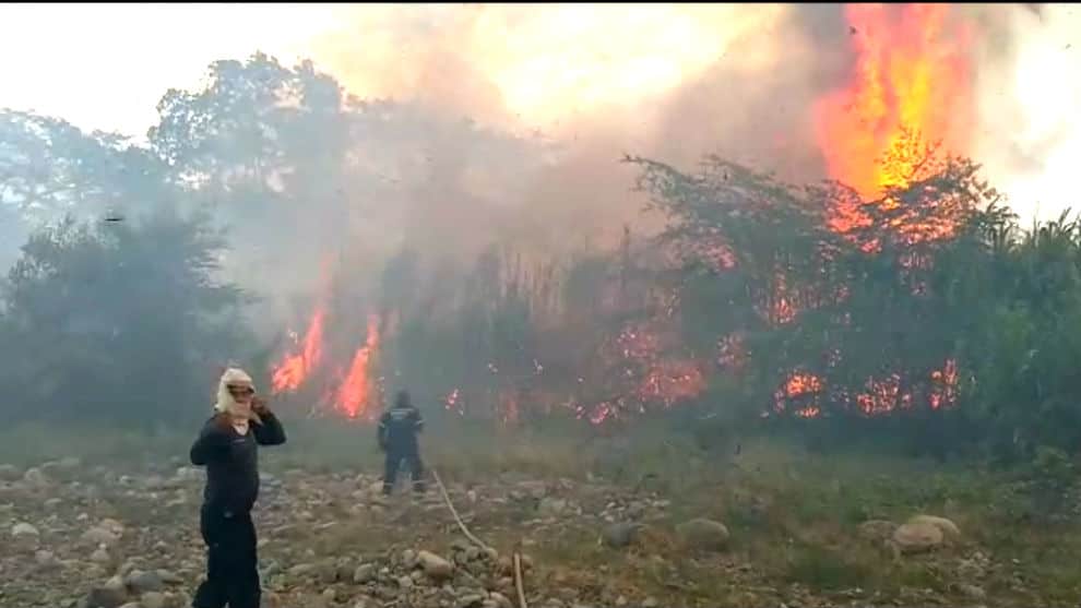 incendio forestal