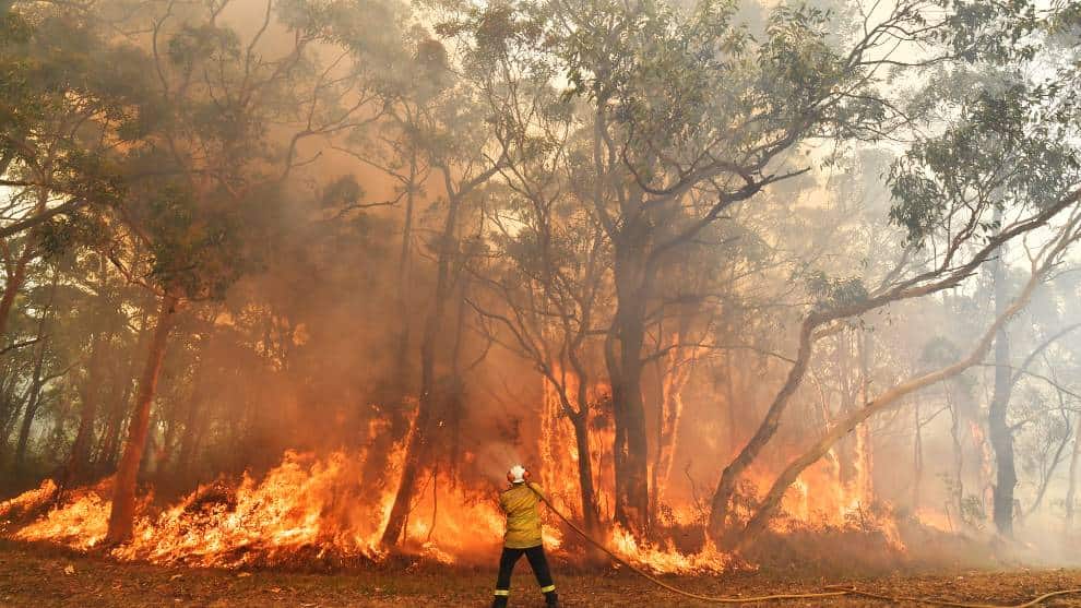 Preocupación en Australia por incendios forestales que azotan al país