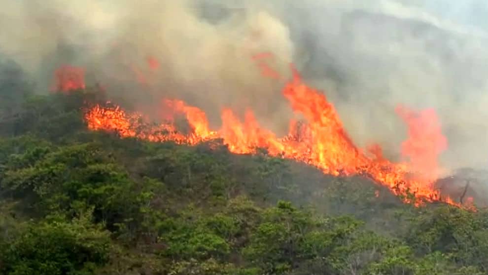 Emergencia por incendios forestales en cuatro municipios de Huila