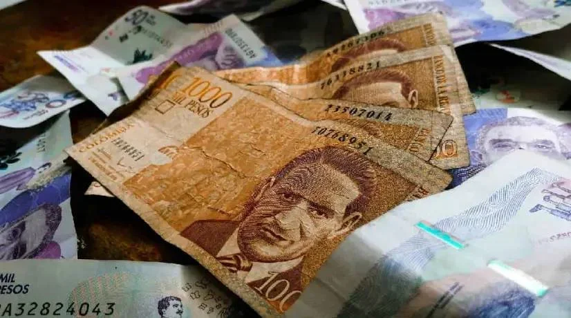 ¿Cómo acceder al subsidio Ingreso Mínimo Garantizado?