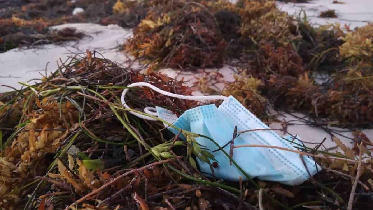 Desechos en el océano de San Andrés