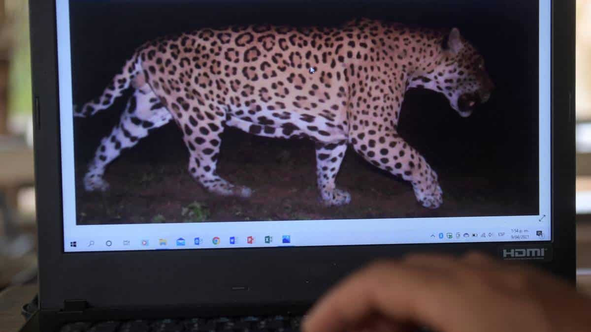 Foto: AFP (Raúl Arboleda)