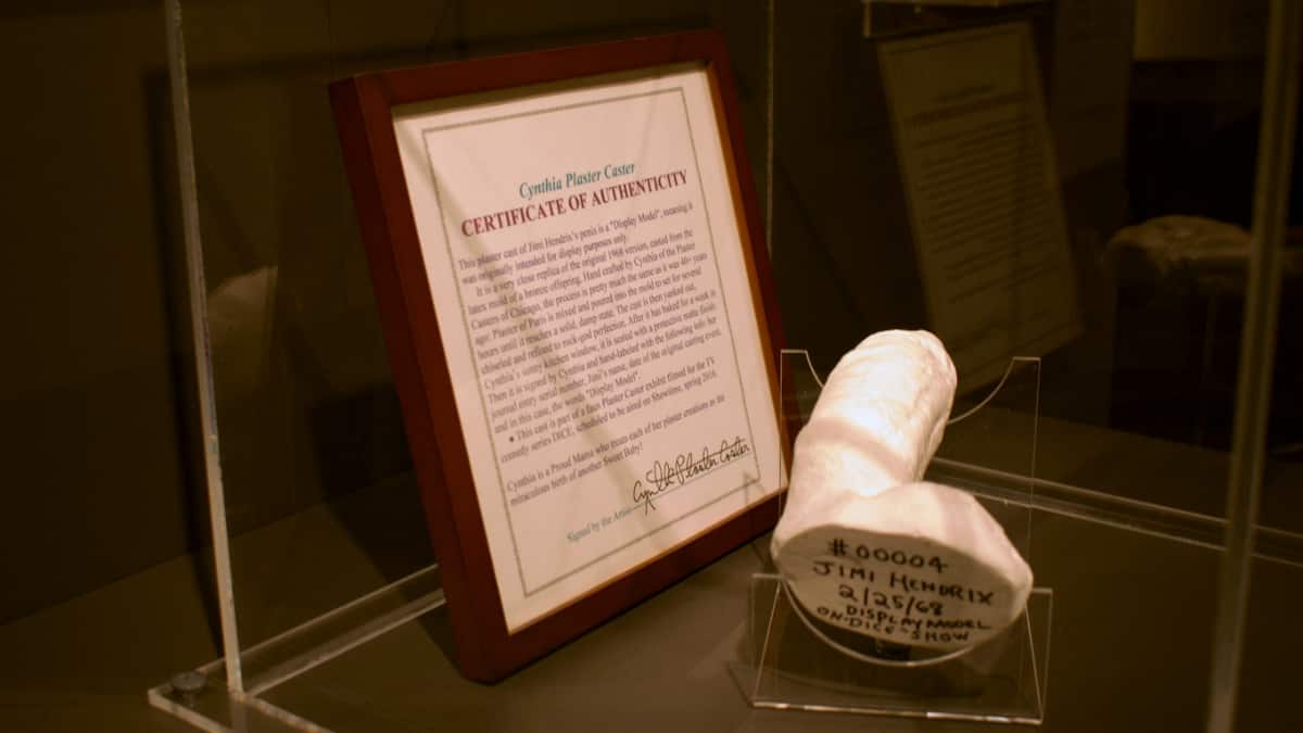 La pieza que se exhibirá en un museo en Islandia