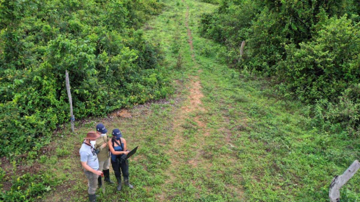 Foto: AFP (Raúl Arboleda)