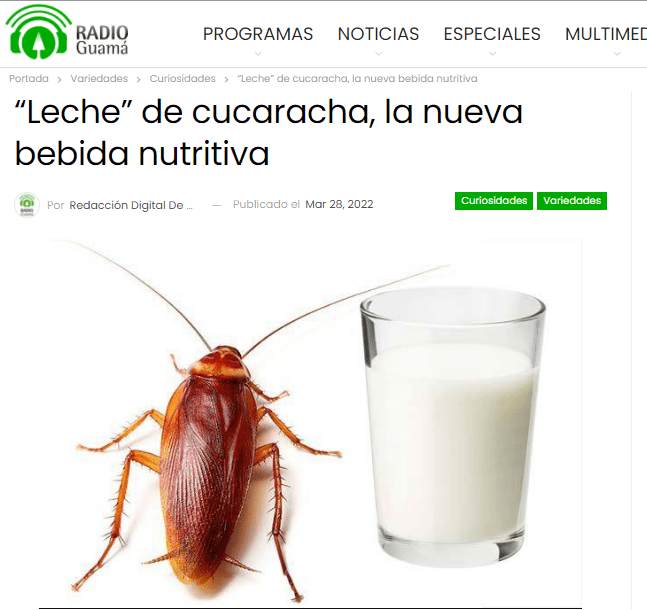 Leche de cucaracha 