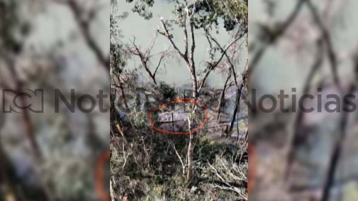 Campamento 'Iván Mordisco' - Foto: NoticiasRCN