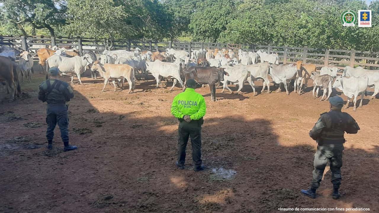Bienes relacionados con el Chapo