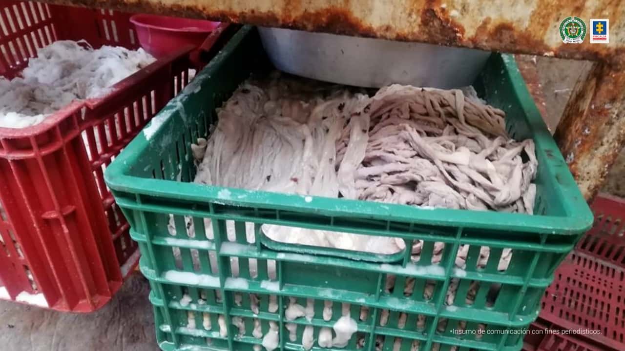 Así operaba centro ilegal de sacrificio porcino en Boyacá