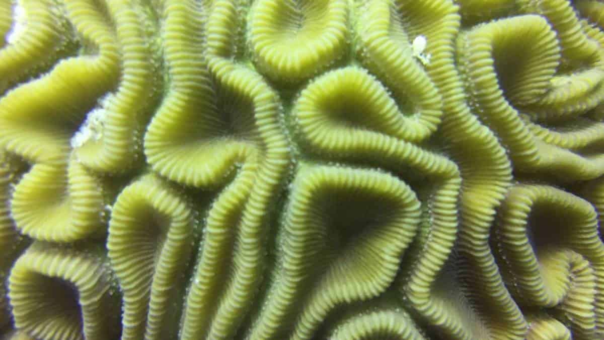 Foto: Juan Armando Sánchez