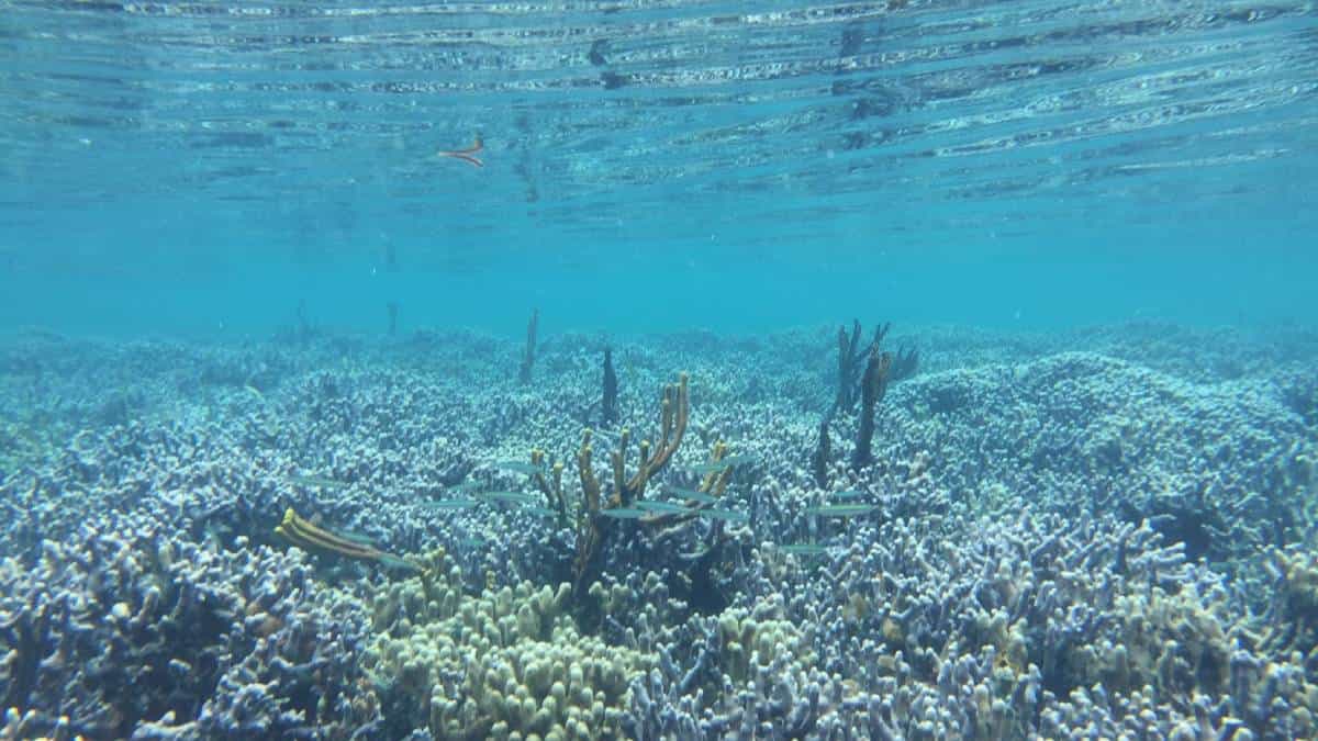 Foto: Juan Armando Sánchez