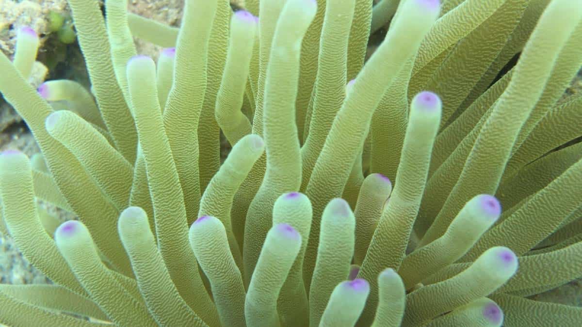 Foto: Juan Armando Sánchez