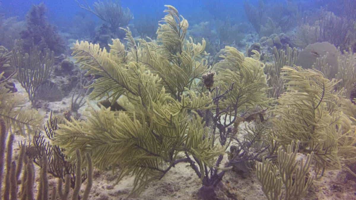 Foto: Juan Armando Sánchez