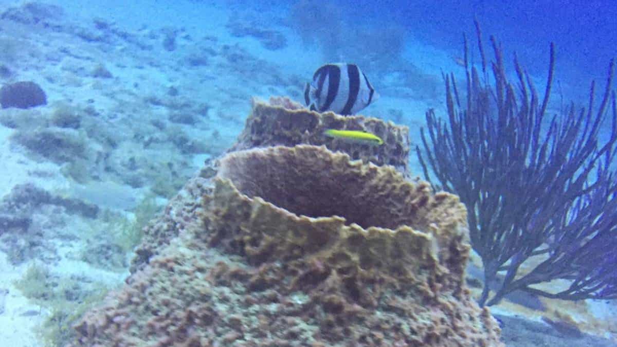 Foto: Juan Armando Sánchez