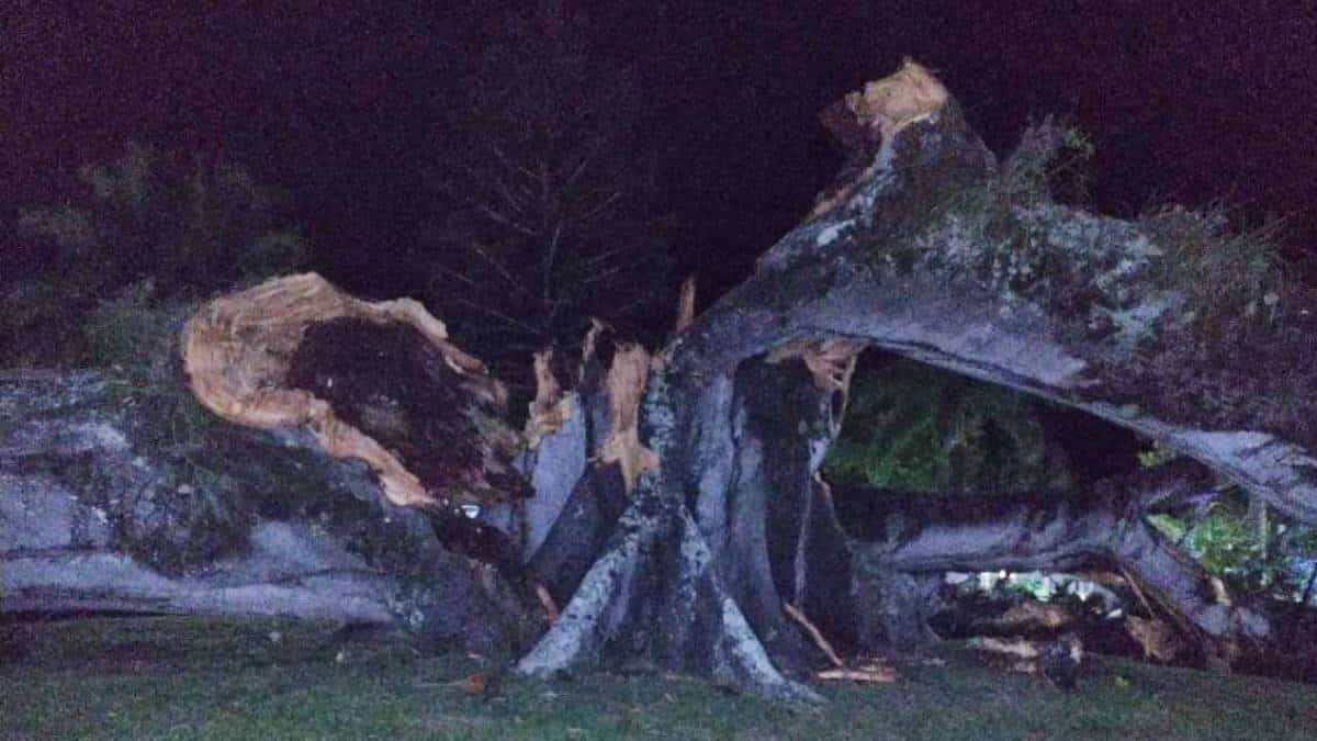 Foto: Twitter (@Melquisedec70)