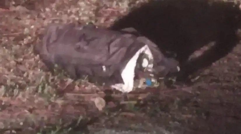 Cilindro bomba en aeropuerto de Cúcuta - Foto: Cortesía