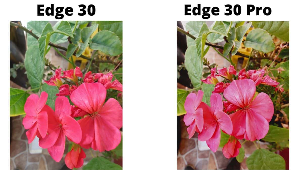 Foto Moto Edge 30 vs Edge 30 Pro