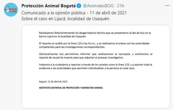 Comunicado Protección Animal sobre muerte de perro pitbull en Lijacá