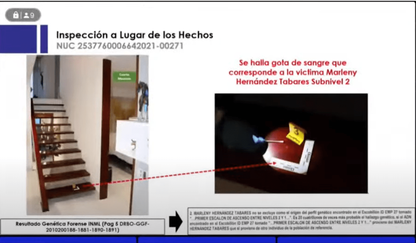 Rastros de sangre escaleras. Caso Mauricio Leal