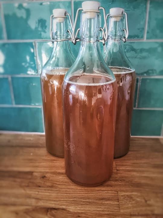 Té de Kombucha