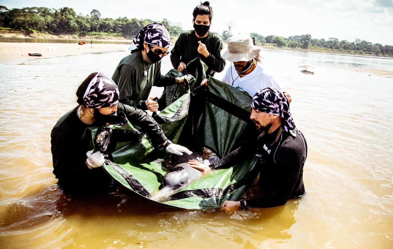 Foto: Fundación Omacha y WWF Colombia