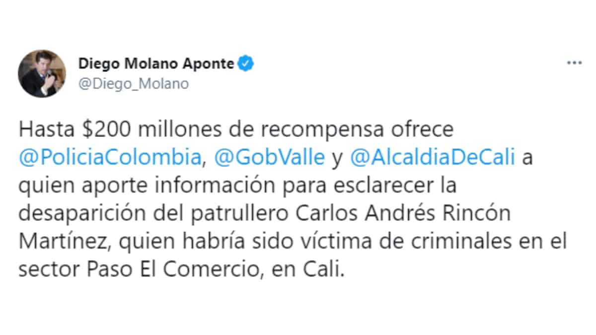 Foto: Diego Molano (Twitter)